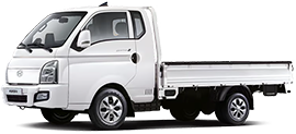일반 화물 트럭